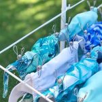 Roestvrij Stalen Wasknijpers